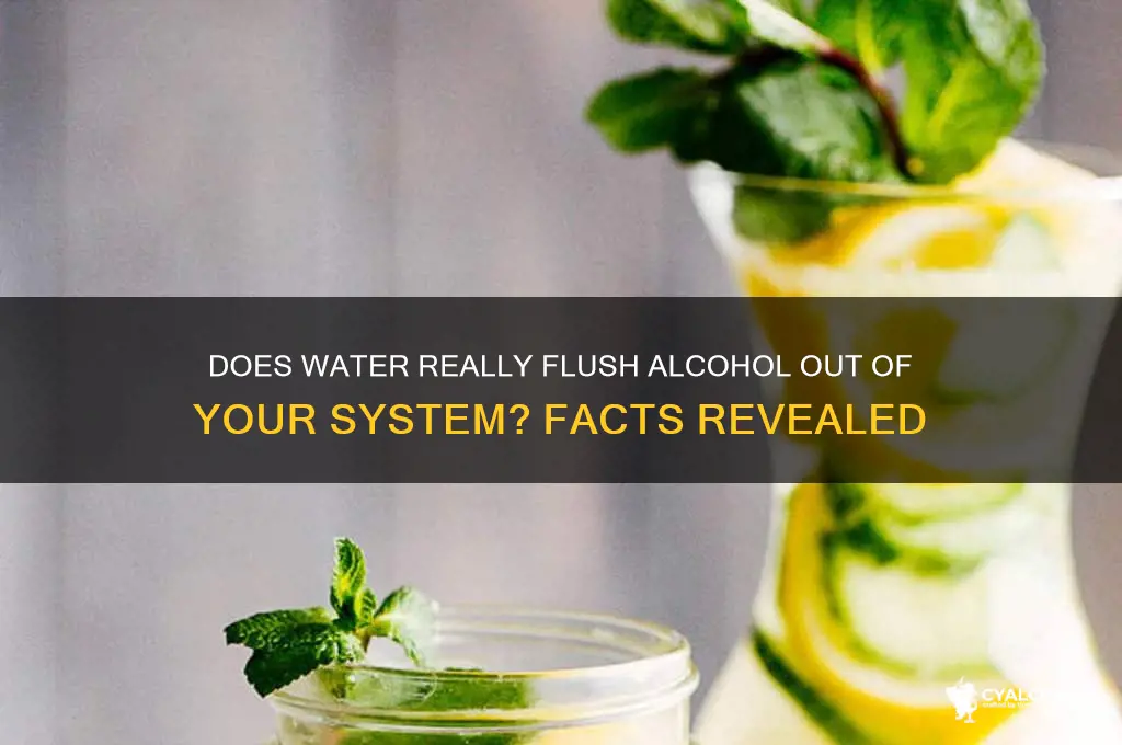 does water flush alcohol out of your system