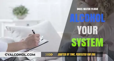 Does Water Really Flush Alcohol Out of Your System?