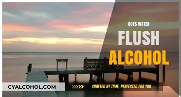 Does Water Flush Alcohol? Debunking Hydration Myths and Liver Facts