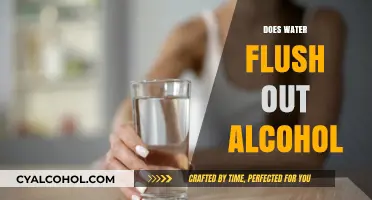 Does Water Flush Out Alcohol? Hydration's Role in Detox and Recovery
