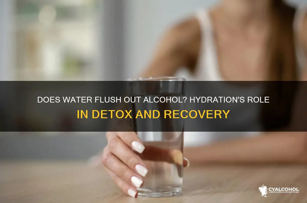 does water flush out alcohol