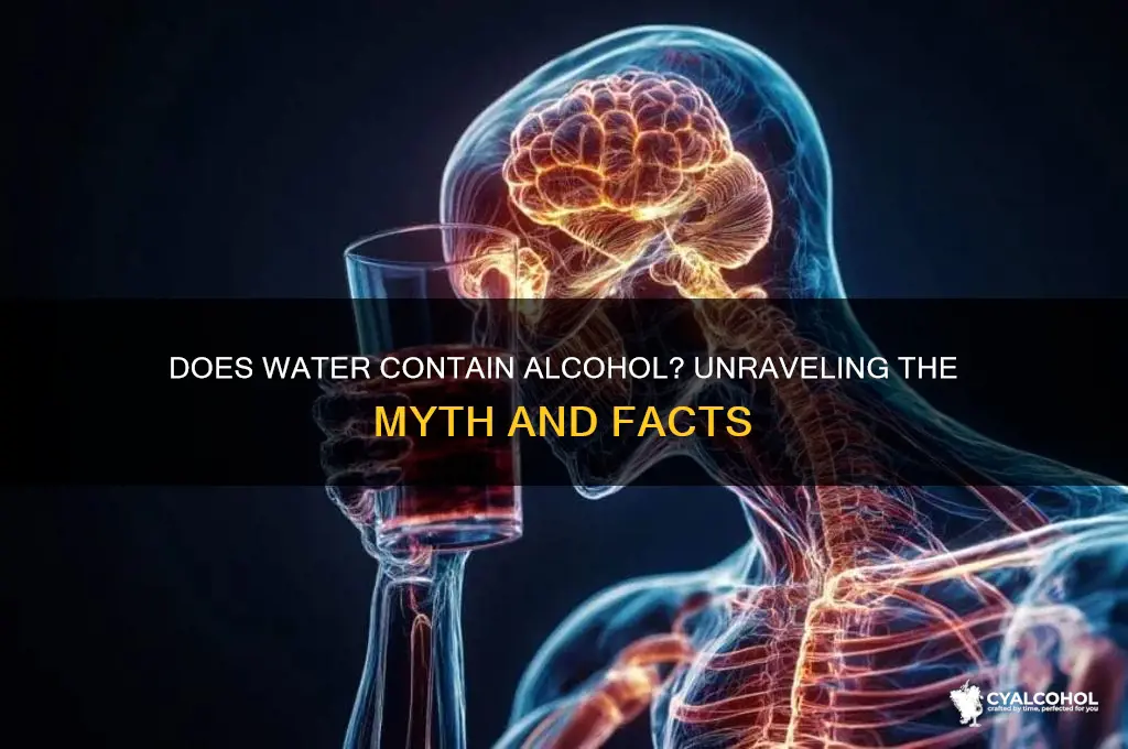 does water have alcohol in it