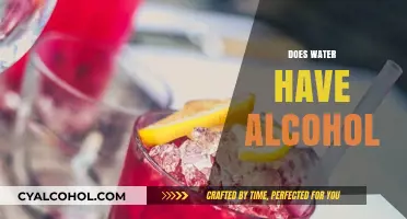 Does Water Contain Alcohol? Unraveling the Myth and Facts