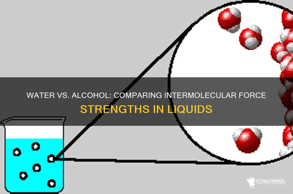 does water have stronger intermolecular forces than alcohol