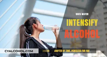 Does Water Intensify Alcohol Effects? Unraveling the Hydration Myth