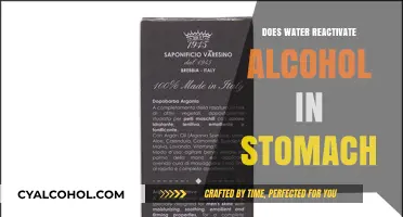 Can Drinking Water Reactivate Alcohol Absorption in Your Stomach?