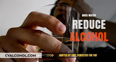 Can Drinking Water Reduce Alcohol's Effects? Facts and Myths Explained