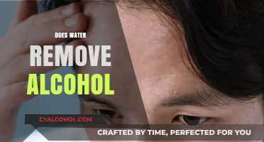 Can Water Flush Out Alcohol? Debunking Myths and Facts