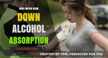 Does Water Slow Alcohol Absorption? Facts and Myths Explained