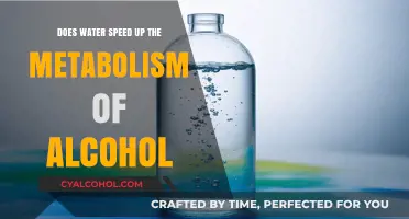 Does Water Accelerate Alcohol Metabolism? Exploring the Hydration-Detox Connection