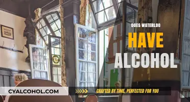 Exploring Waterloo's Alcohol Scene: What You Need to Know
