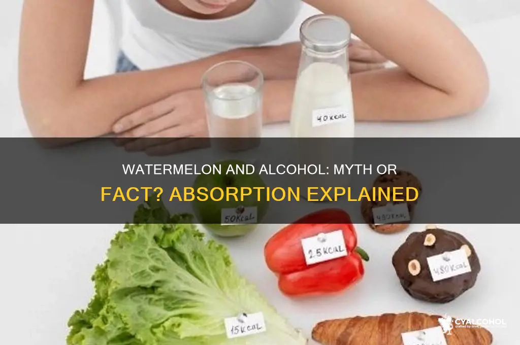 does watermelon absorb alcohol