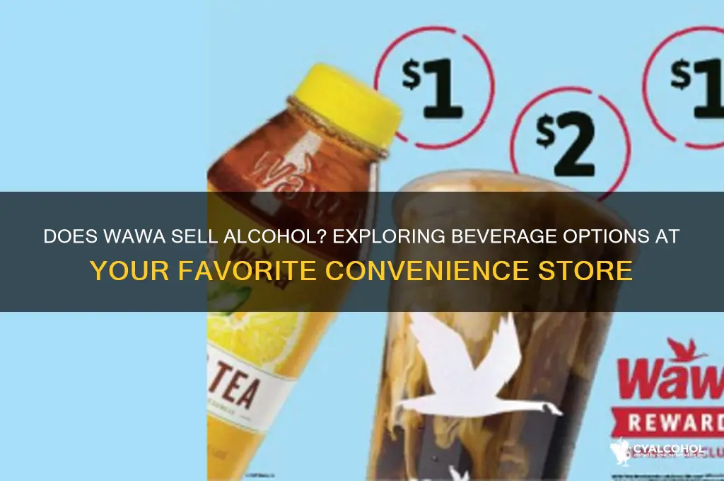 does wawa have alcohol