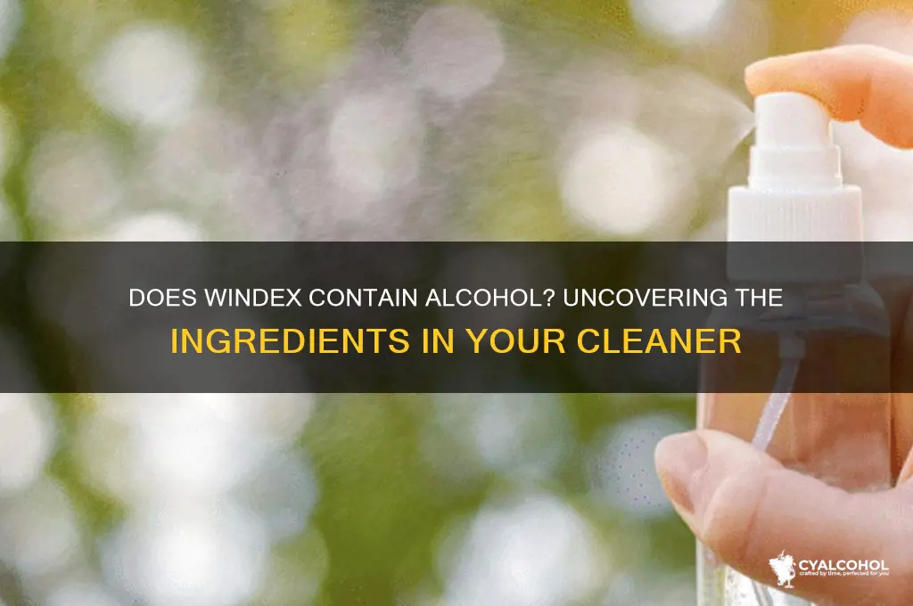 does windex have alcohol