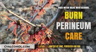 Witch Hazel with Alcohol: Safe or Irritating for Perineum Care?
