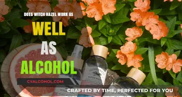 Witch Hazel vs. Alcohol: Which Works Better for Skincare?