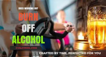 Can Exercise Counteract Alcohol's Effects? The Science Behind Burning Off Booze