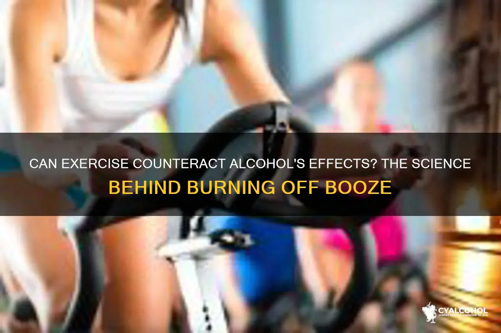 does working out burn off alcohol