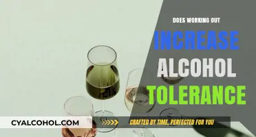 Does Exercise Boost Alcohol Tolerance? Unraveling the Fitness-Drinking Connection