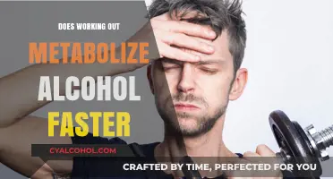 Can Exercise Speed Up Alcohol Metabolism? Facts and Myths Explained