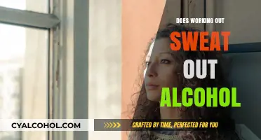 Sweating Out Alcohol: Fact or Fiction? The Workout Connection Explained