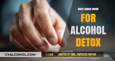 Xanax for Alcohol Detox: Effective Treatment or Risky Approach?