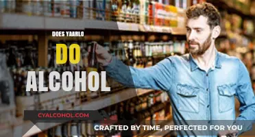 Does Yaarlo Deliver Alcohol? Exploring Its Services and Offerings