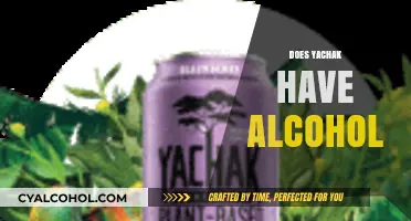 Exploring Yachak Ingredients: Does This Traditional Beverage Contain Alcohol?