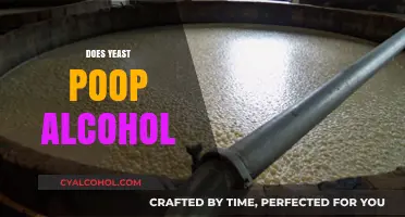 Yeast's Fermentation Process: Does It Really Poop Out Alcohol?