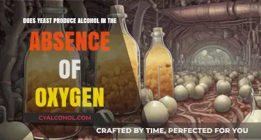 Yeast's Alcohol Production: The Role of Oxygen