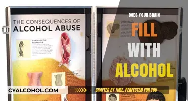 Does Alcohol Saturate Your Brain? Unraveling the Myth and Science