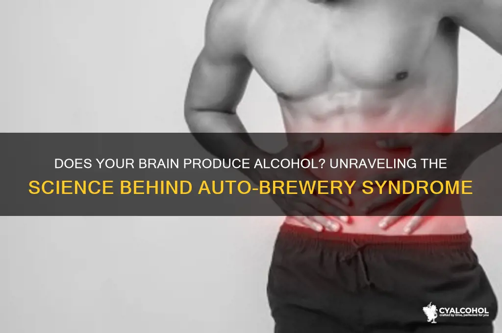 does your brain give you alcohol