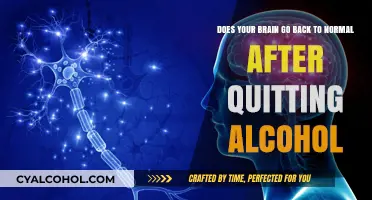 How Alcohol Abstinence Heals Your Brain