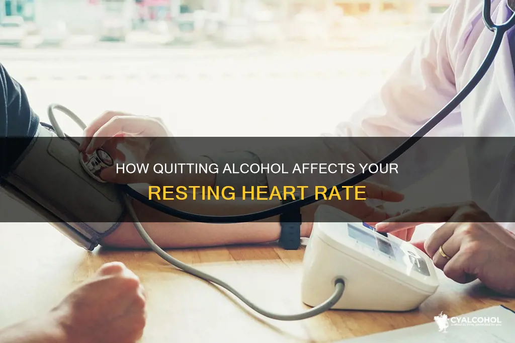 does your resting heart rate drop after quitting alcohol