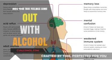 Alcohol and Emotions: Unveiling the Truth Behind Intoxicated Confessions
