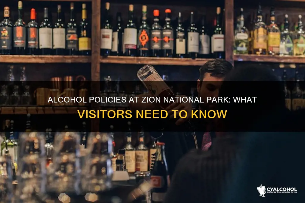 does zion allow alcohol
