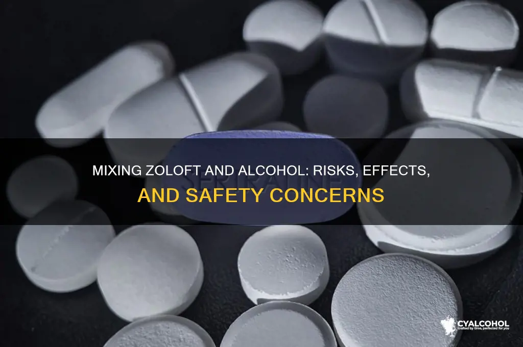 does zoloft and alcohol