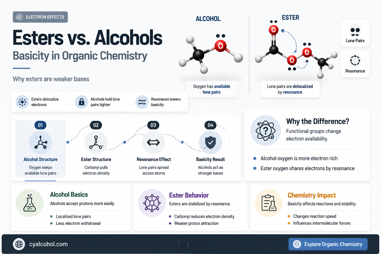 are esters more basic than alcohols