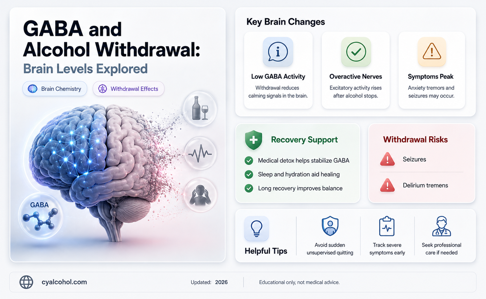 are brain levels of gaba low during alcohol withdrawal