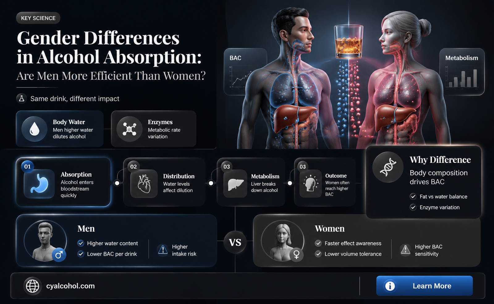 are males better at absorbing alcohol than females