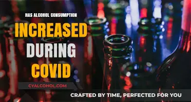 Pandemic Drinking Trends: Did Alcohol Consumption Rise During COVID-19?