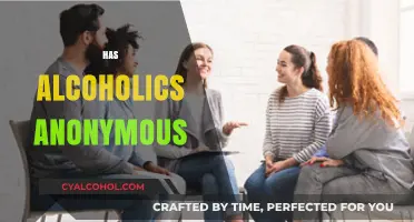 Has Alcoholics Anonymous Lost Its Effectiveness in Modern Recovery?
