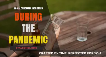Pandemic's Shadow: Rising Alcoholism Rates and the Global Crisis