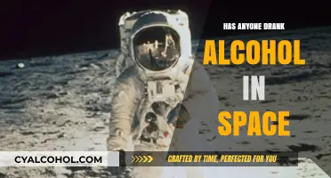 Sipping Among the Stars: Alcohol Consumption in Space Explored
