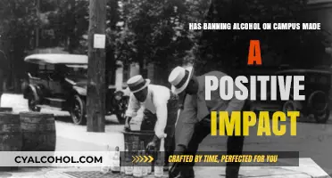 Alcohol Bans: Positive Impact or Negative Outcome?