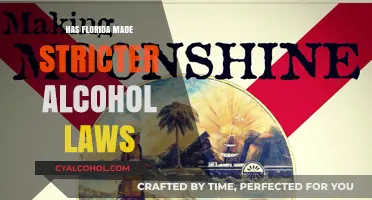 Florida's New Alcohol Laws: Stricter Regulations and Their Impact