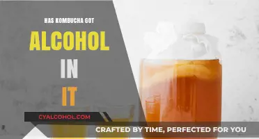 Does Kombucha Contain Alcohol? Unveiling the Fermented Truth