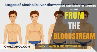 Liver's Role: Alcohol Elimination from Bloodstream