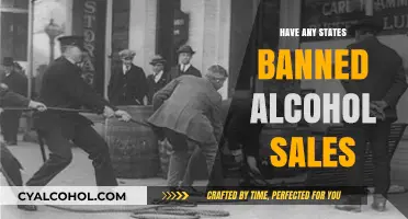States Banning Alcohol Sales: Current Laws and Restrictions Explained