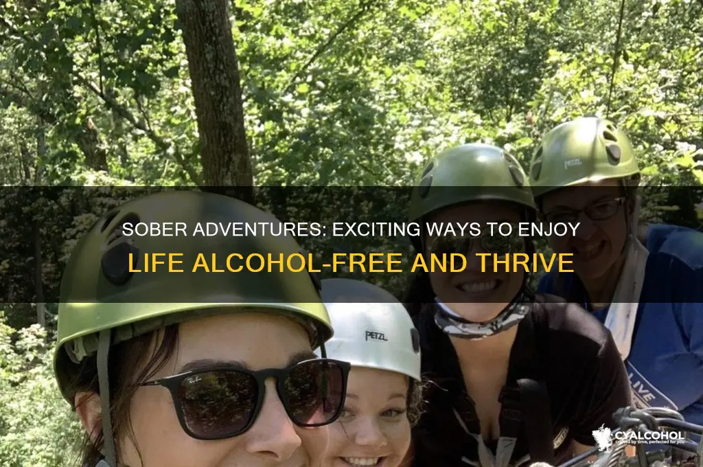 have fun without alcohol